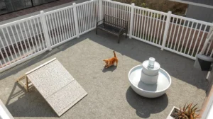 animais de estimação